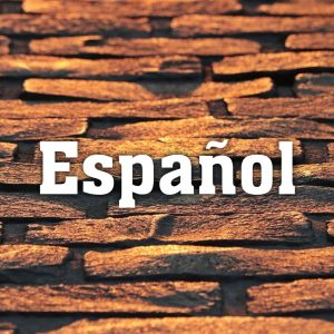 ONLINE en Español